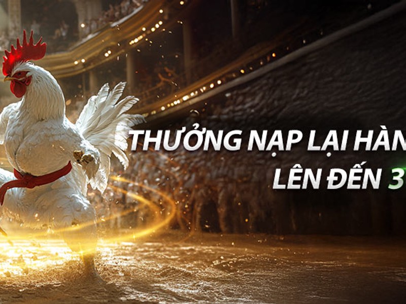Hình ảnh hoàn trả xổ số 99ok