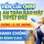 Biểu tượng khóa bảo mật và khiên chắn